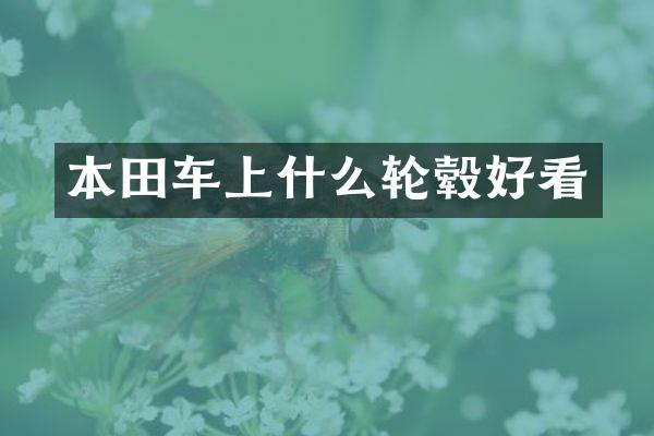 本田车上什么轮毂好看