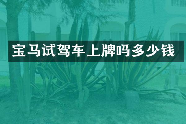 宝马试驾车上牌吗多少钱