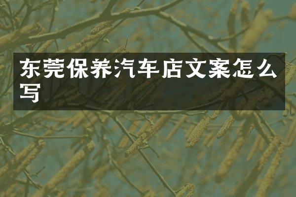 东莞保养汽车店文案怎么写