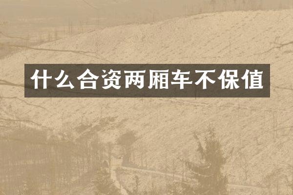 什么合资两厢车不保值