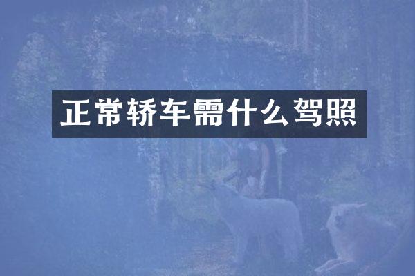 正常轿车需什么驾照