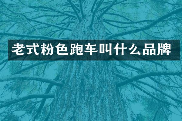 老式粉色跑车叫什么品牌