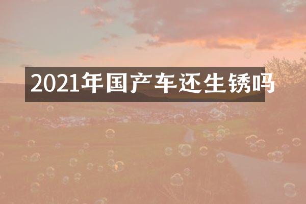 2021年国产车还生锈吗