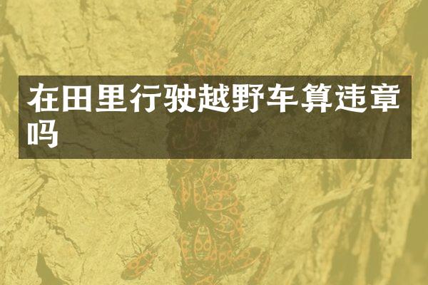 在田里行驶越野车算违章吗