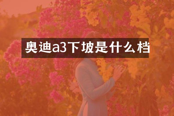 奥迪a3下坡是什么档