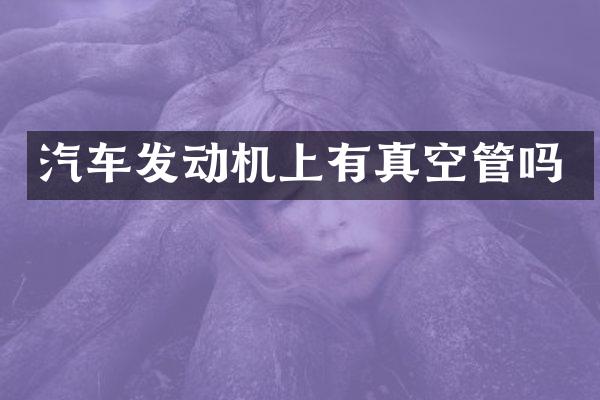 汽车发动机上有真空管吗