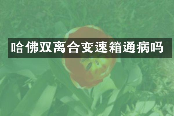 哈佛双离合变速箱通病吗