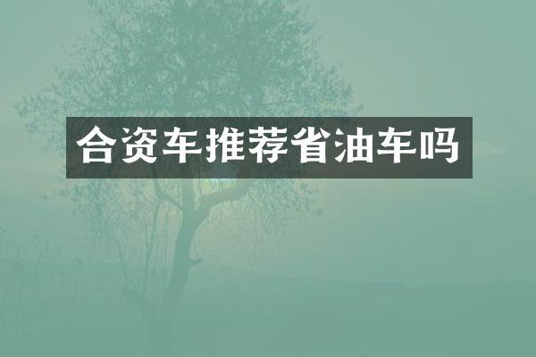 合资车推荐省油车吗