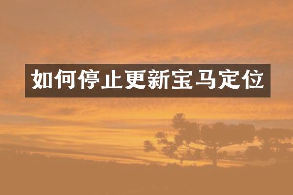 如何停止更新宝马定位