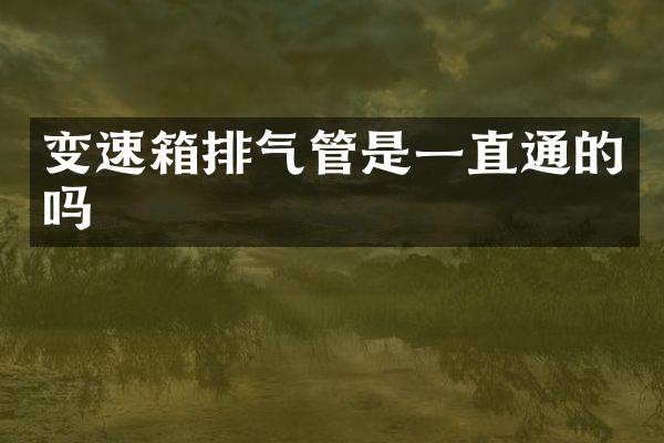 变速箱排气管是一直通的吗