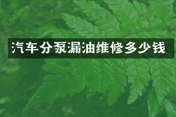 汽车分泵漏油维修多少钱
