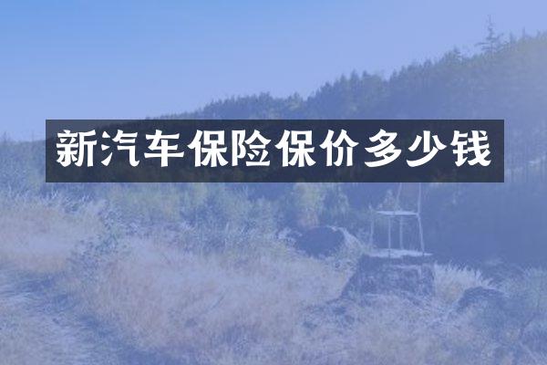 新汽车保险保价多少钱
