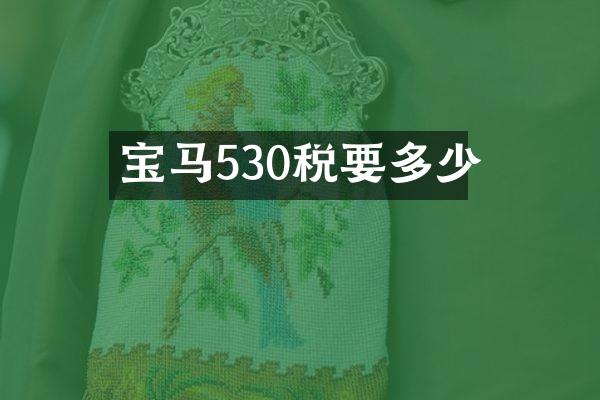 宝马530税要多少