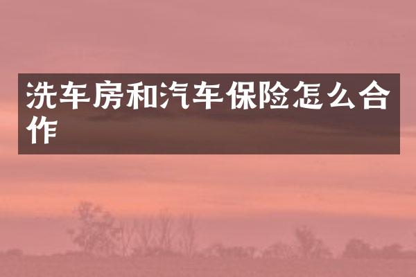 洗车房和汽车保险怎么合作