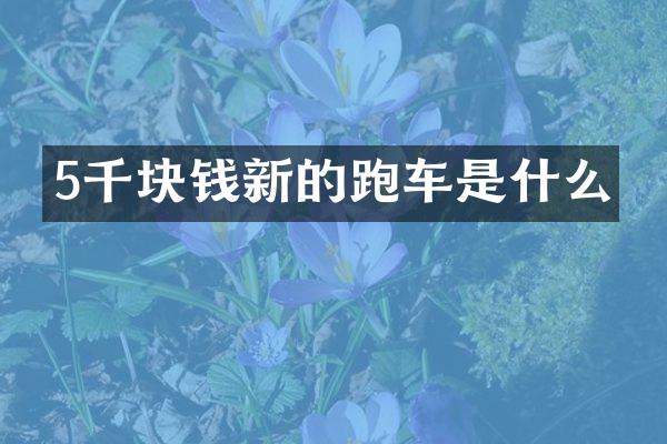 5千块钱新的跑车是什么