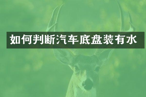 如何判断汽车底盘装有水