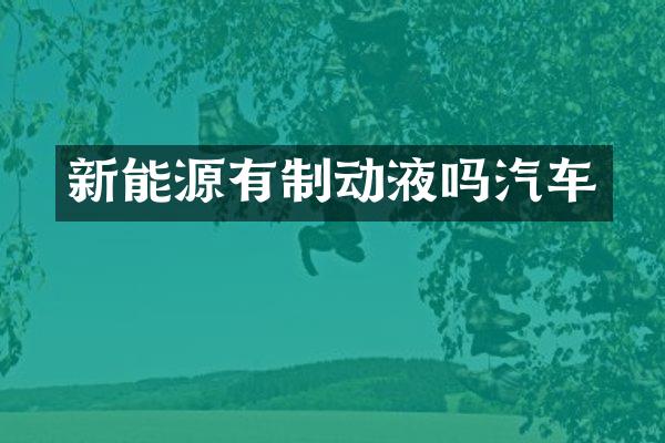 新能源有制动液吗汽车