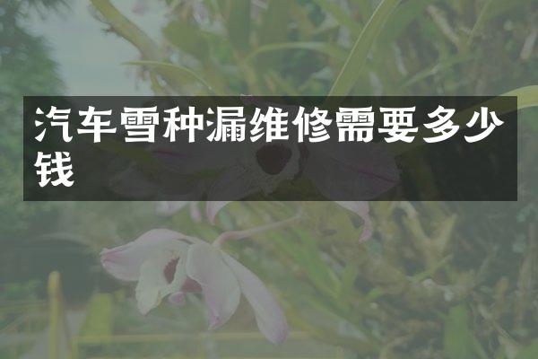 汽车雪种漏维修需要多少钱