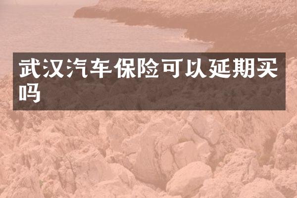 武汉汽车保险可以延期买吗