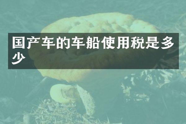 国产车的车船使用税是多少