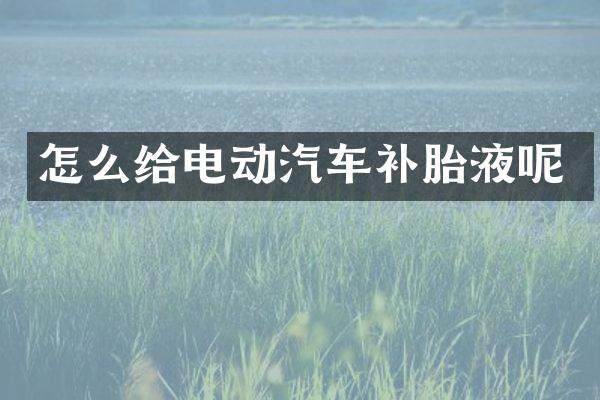 怎么给电动汽车补胎液呢