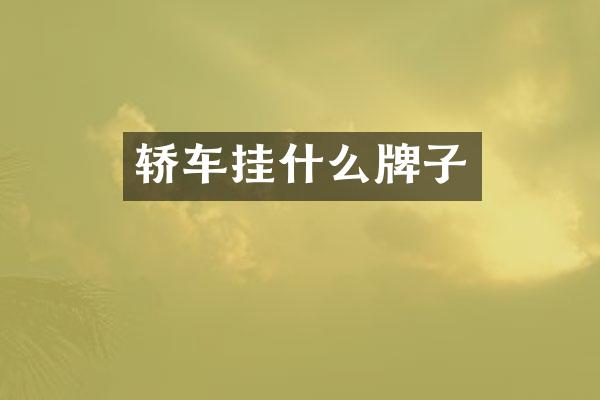 轿车挂什么牌子