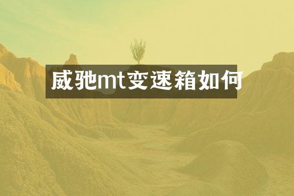 威驰mt变速箱如何