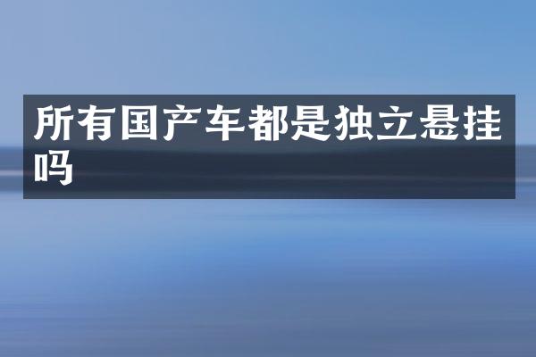 所有国产车都是独立悬挂吗