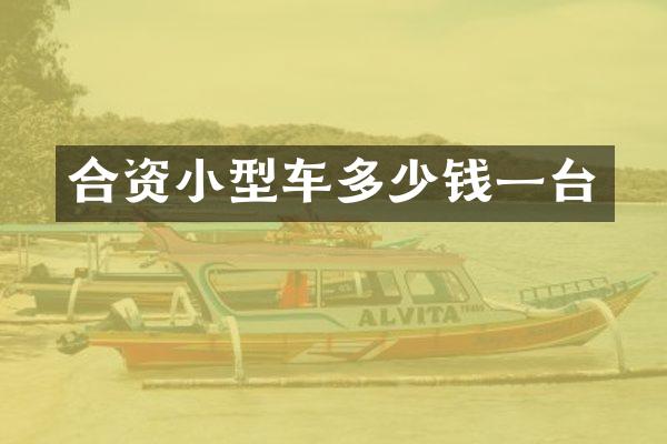 合资小型车多少钱一台