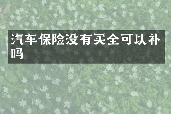 汽车保险没有买全可以补吗