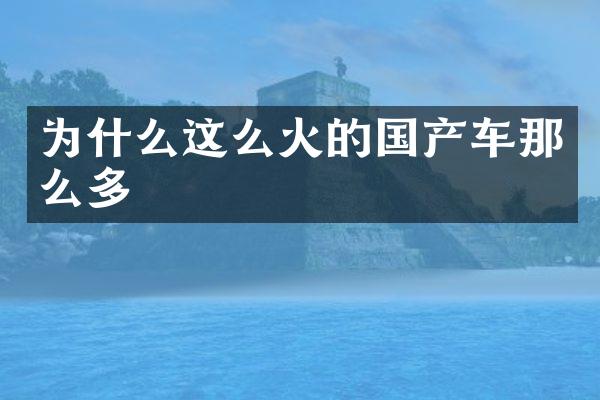 为什么这么火的国产车那么多