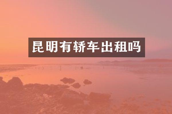 昆明有轿车出租吗
