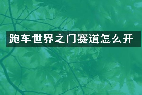 跑车世界之门赛道怎么开