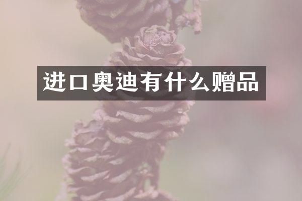 进口奥迪有什么赠品