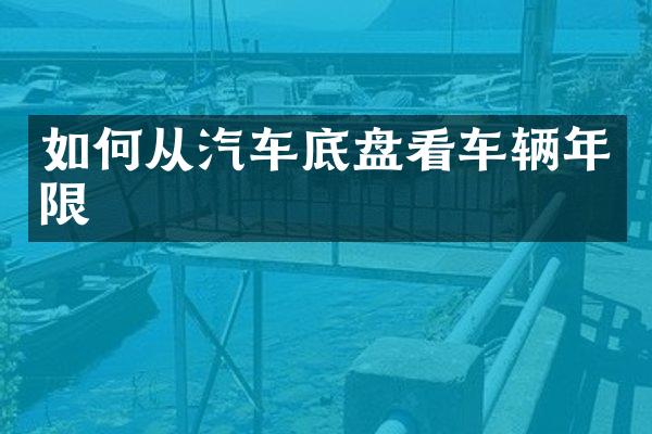 如何从汽车底盘看车辆年限