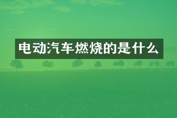 电动汽车燃烧的是什么