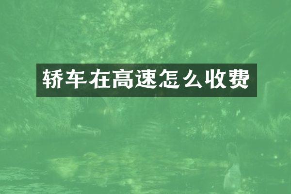 轿车在高速怎么收费