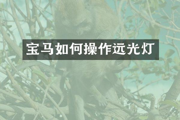 宝马如何操作远光灯