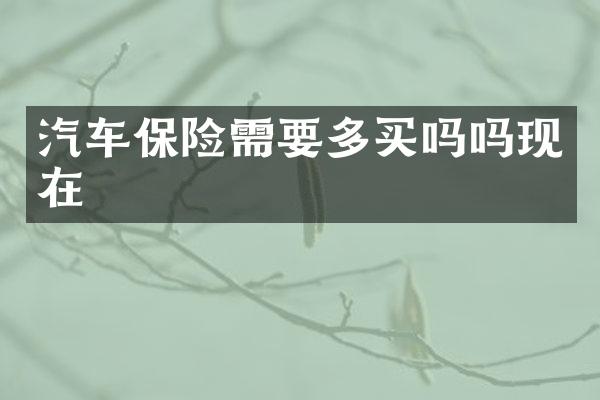 汽车保险需要多买吗吗现在
