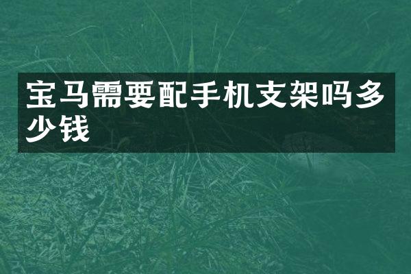 宝马需要配手机支架吗多少钱