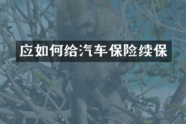 应如何给汽车保险续保