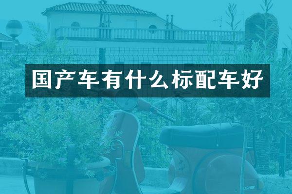 国产车有什么标配车好