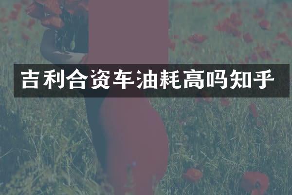 吉利合资车油耗高吗知乎