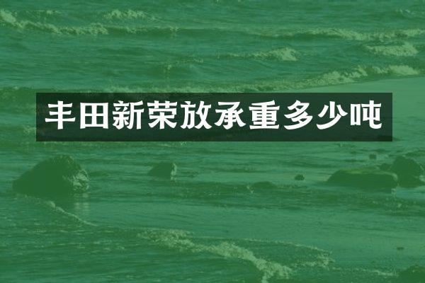 丰田新荣放承重多少吨