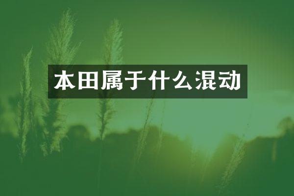 本田属于什么混动