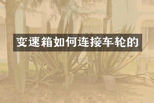 变速箱如何连接车轮的
