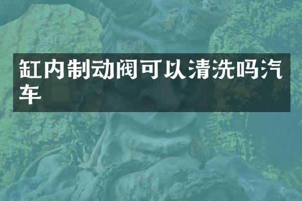 缸内制动阀可以清洗吗汽车