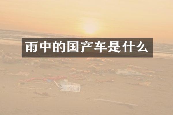 雨中的国产车是什么