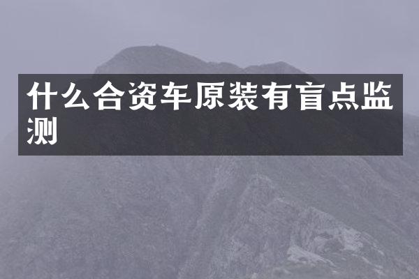 什么合资车原装有盲点监测