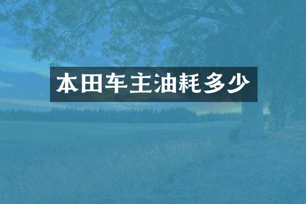 本田车主油耗多少